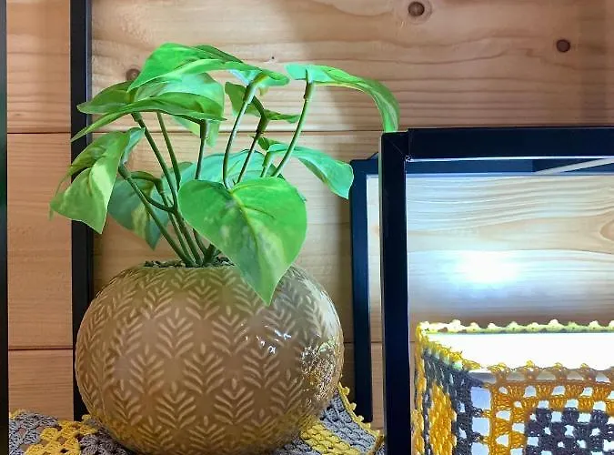 Picoterrace View מדלנה